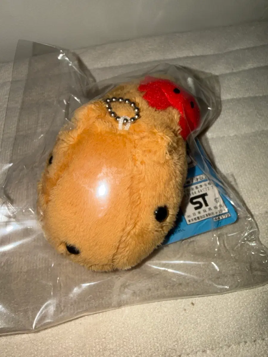 꽃게 카피바라상