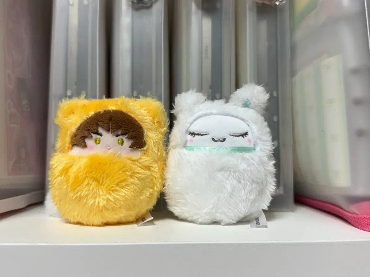 카드캡터체리 타피누이 (샤오랑.모모)