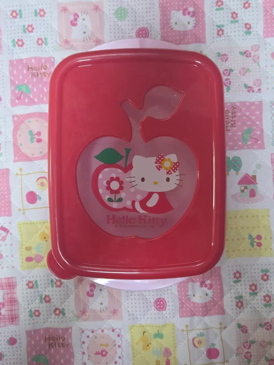 고전 헬로키티 보관함
