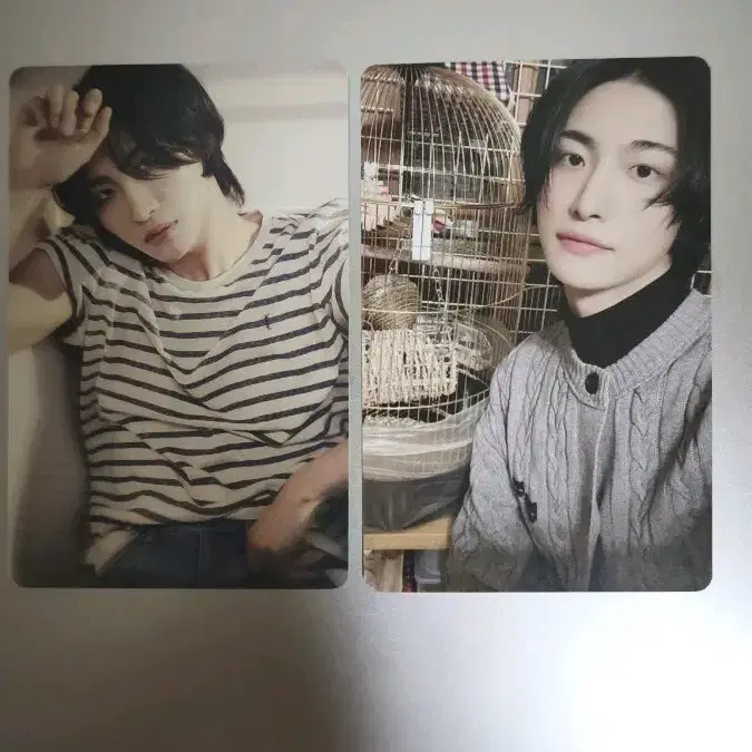에이티즈 성화 비공식 포카세트