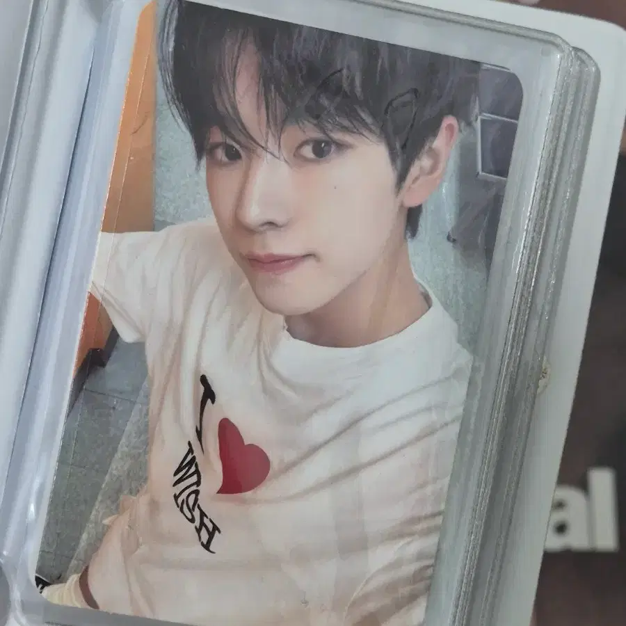 유우시 / 스테디 티셔츠 포토카드