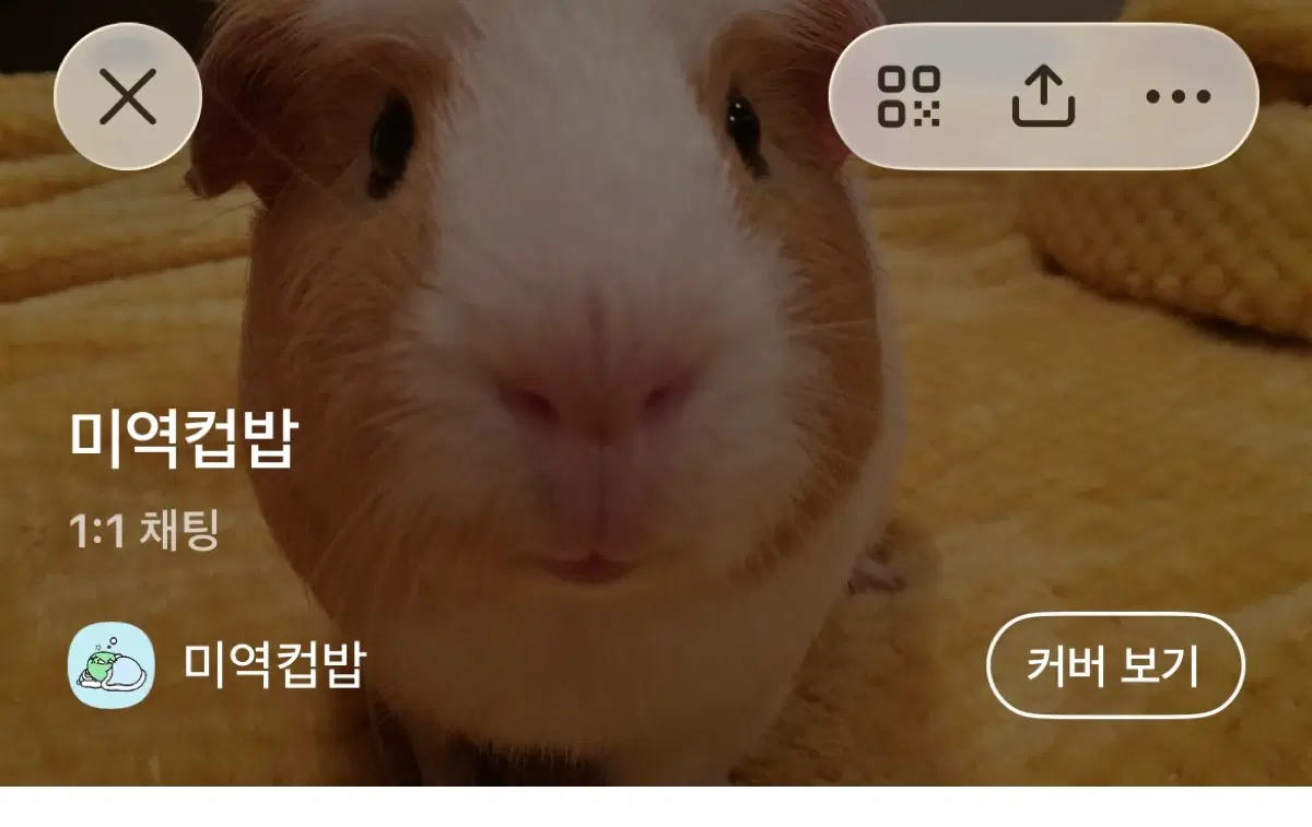 ㄹㄹ