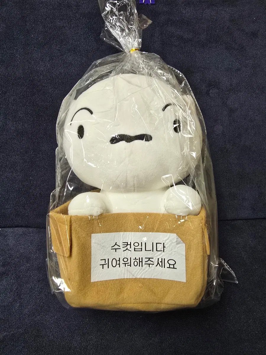 (신상) 첫만남 흰둥이 27cm 짱구는못말려 정품 중형 인형 미개봉