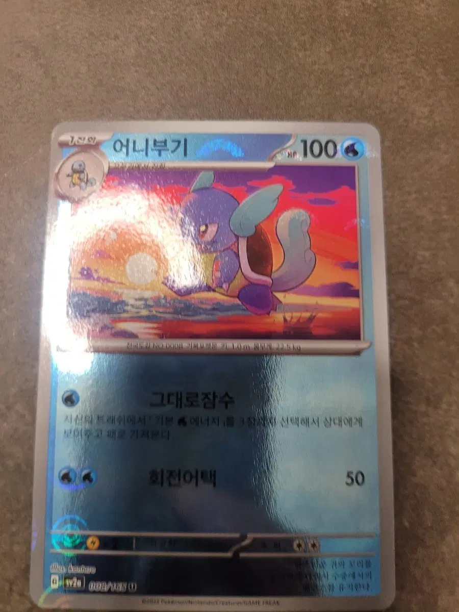 포켓몬 카드 어니부기 몬스터볼 100HP