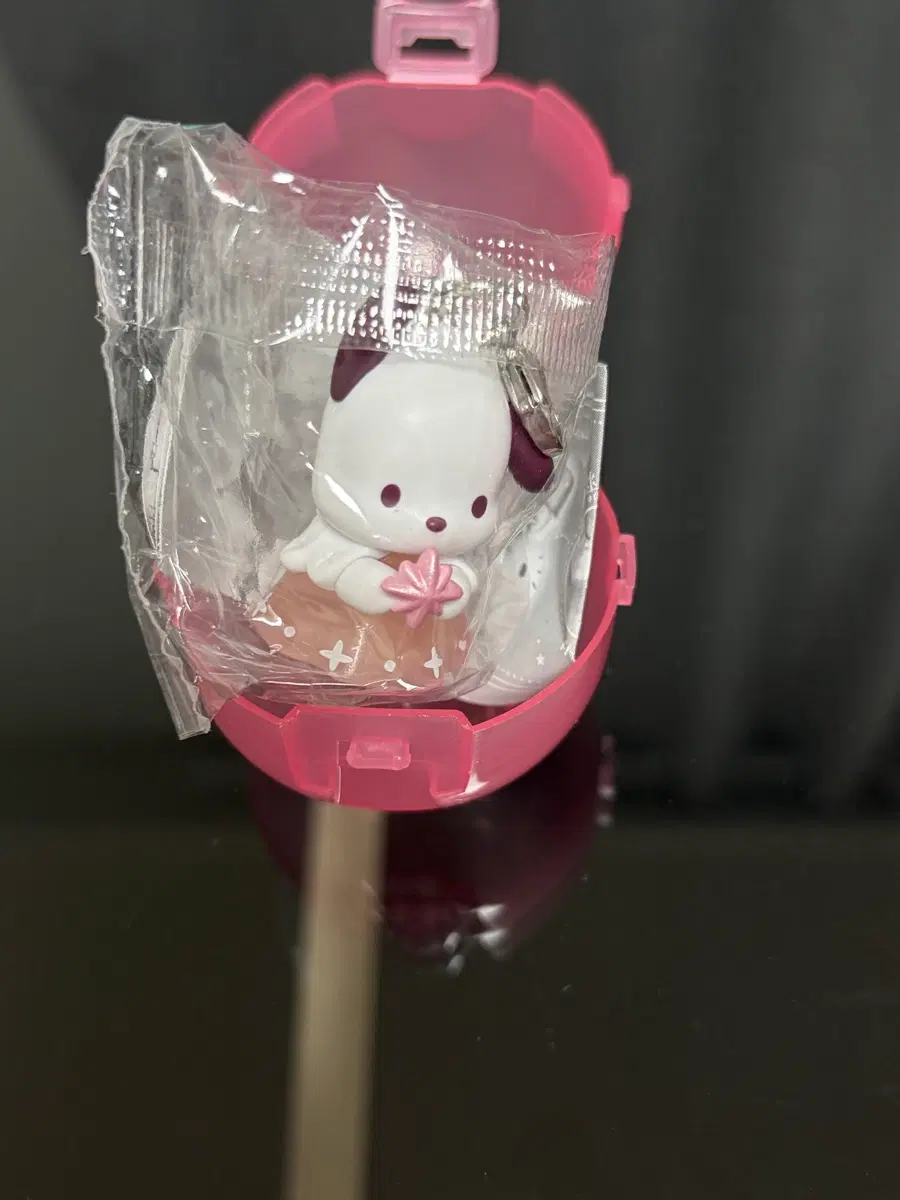 별빛천사 포차코