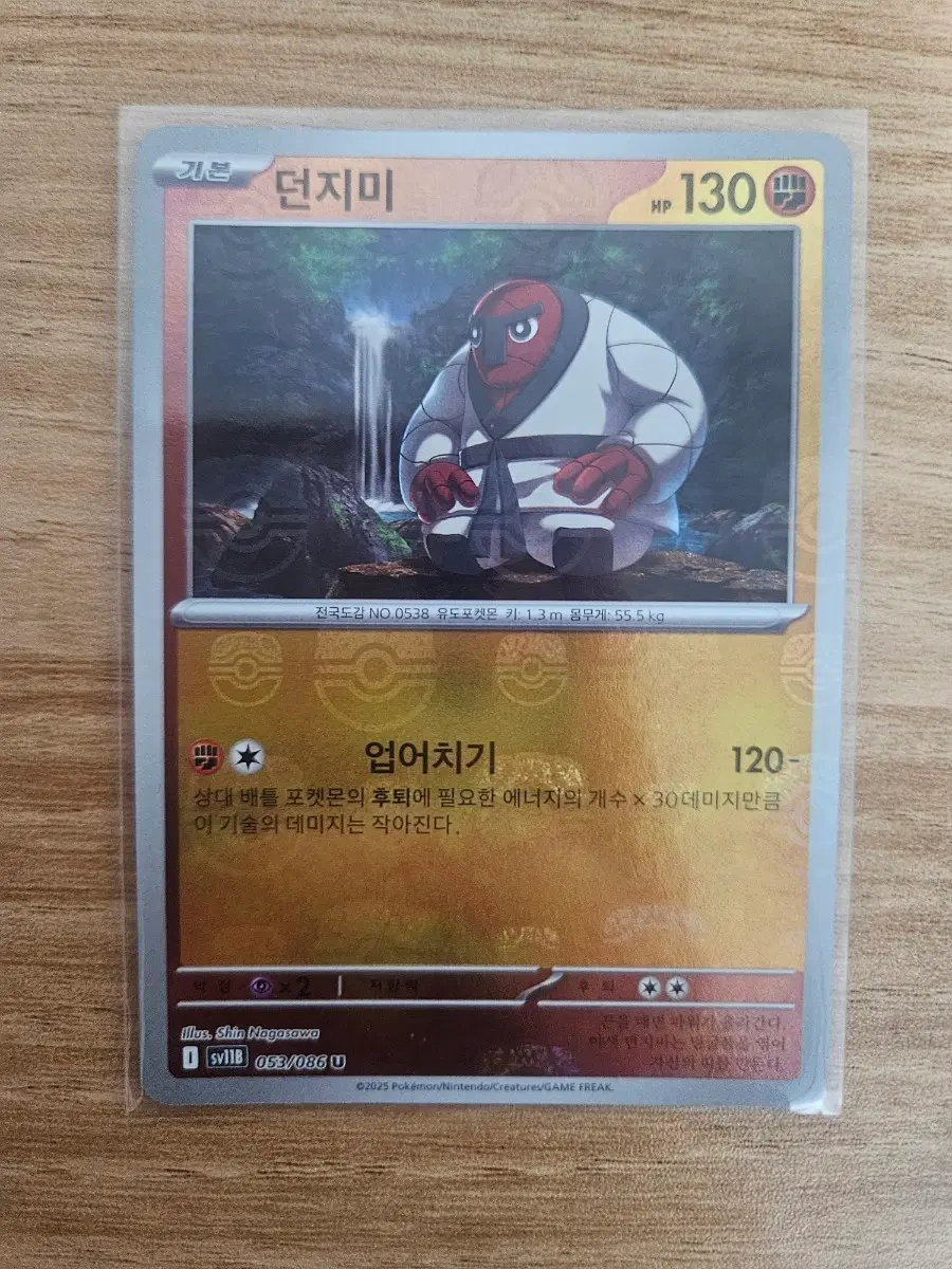 포켓몬카드 던지미 마스터볼 홀로