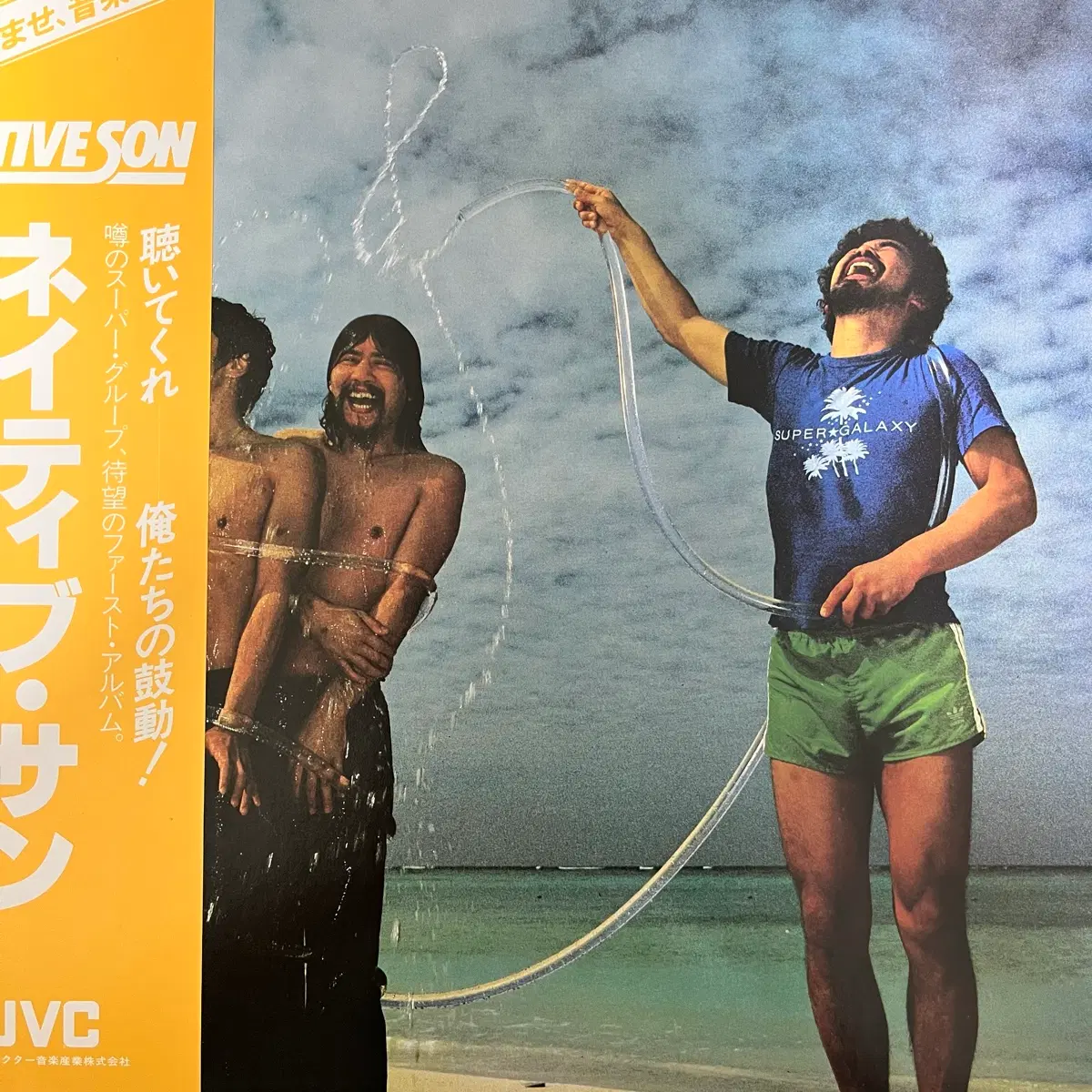 (City pop, japanese LP) Native Son 외 4건