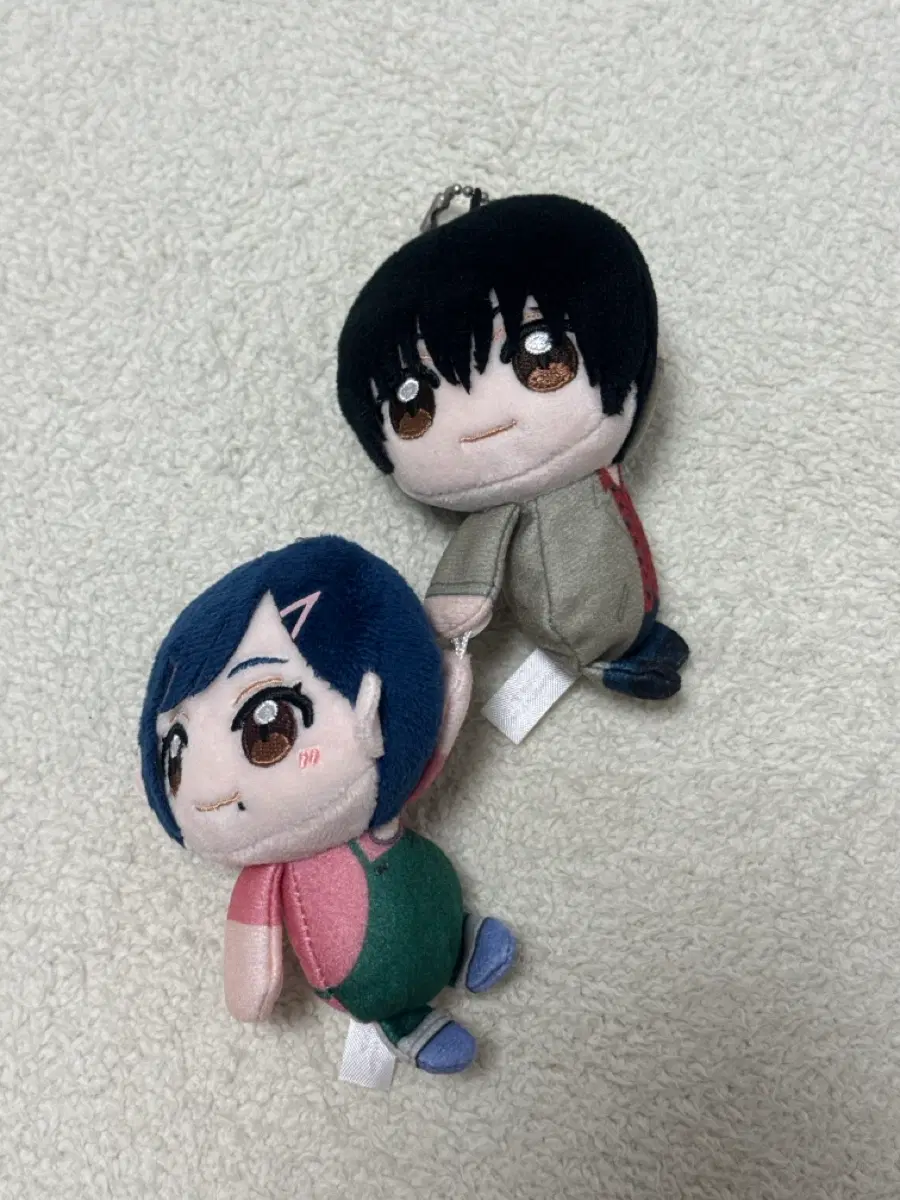 사카모토데이즈 테테코레 나구모, 아오이 일괄