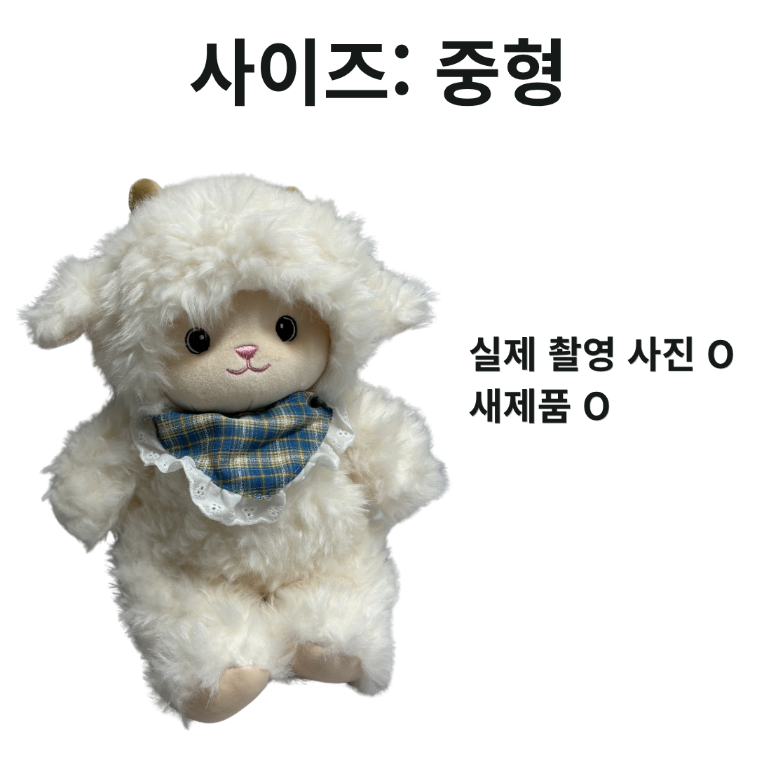 귀여운 양털 인형