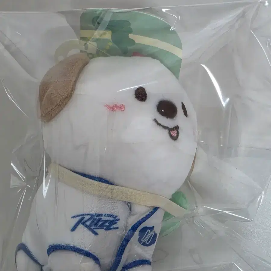 Riize Anton Doll Season 1 Mongryongi 10cm | Bunjang Global