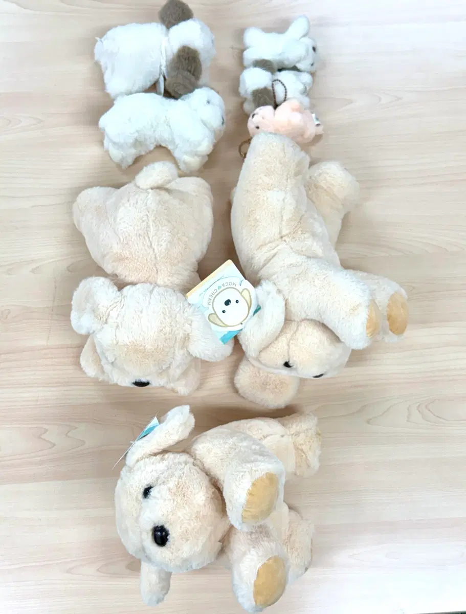 모카 크림 강아지 중형소형인형뽑기 키링열쇠가방고리인형 (일괄)