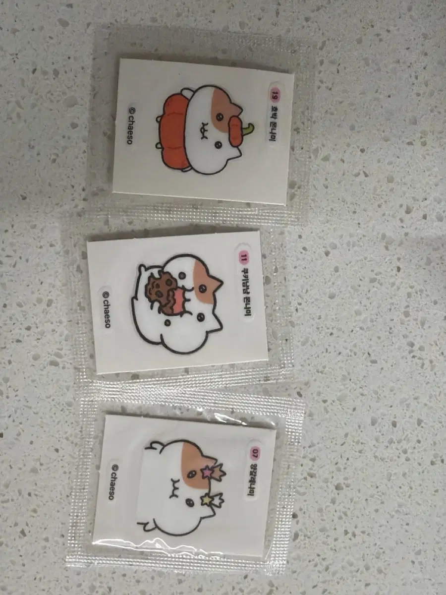 쫀냐미 띠부씰 호박 쿠키냠냠