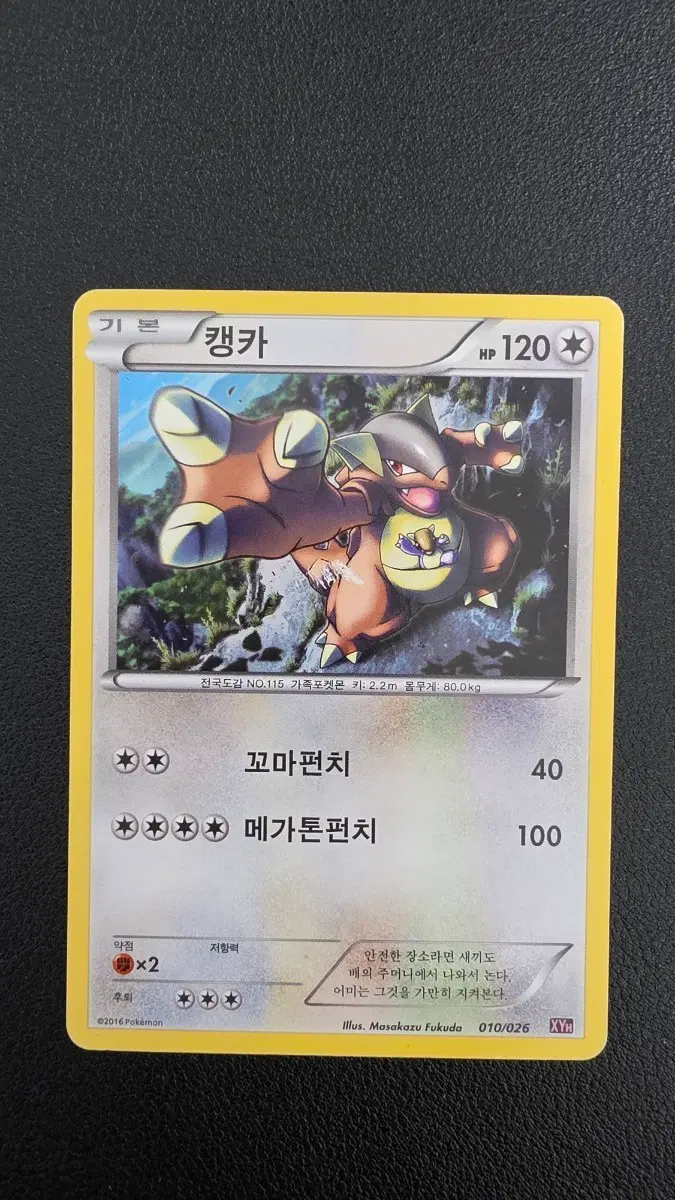 포켓몬 카드 캥카 xyh 010