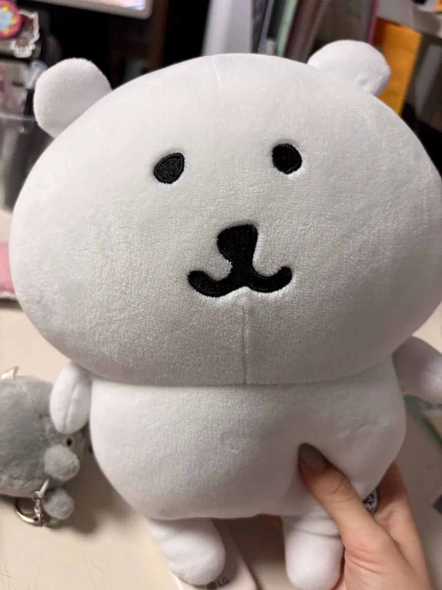 농담곰 누이