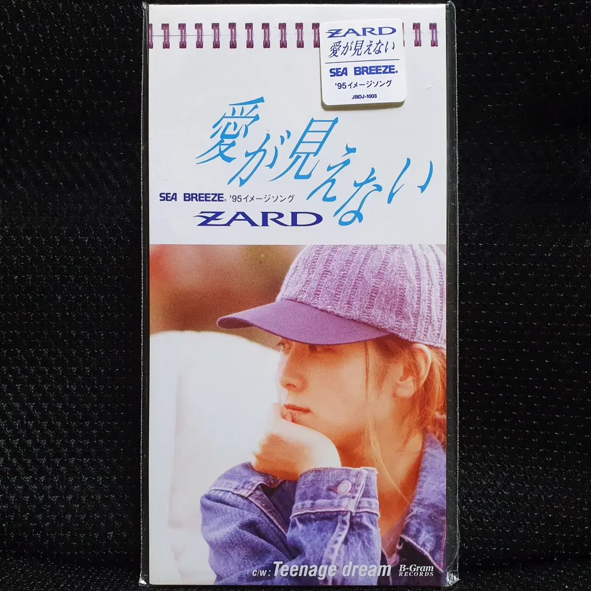 자드 ZARD 아이가미에나이 8cm 싱글 CD