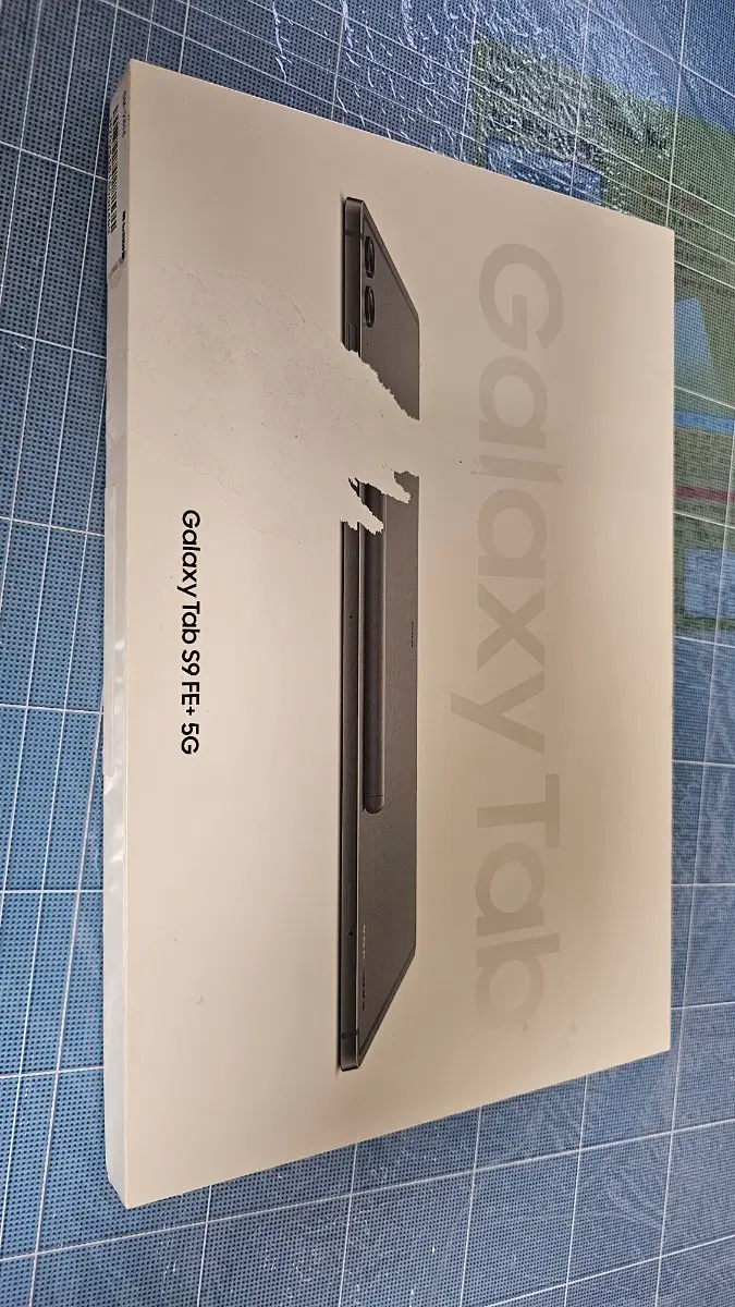 삼성 갤럭시탭 S9 FE+ 5G 128gb