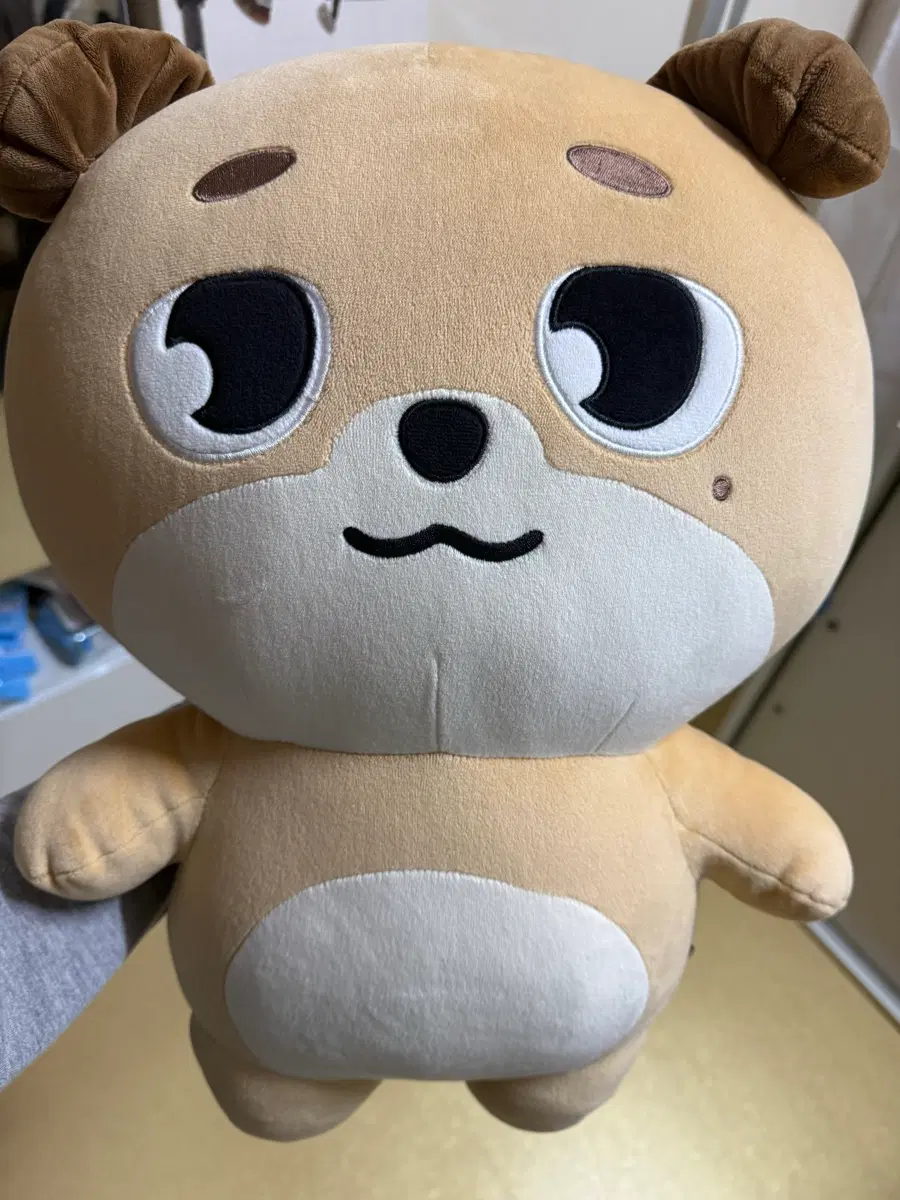 데이식스 도운 돈 자이언트 데니멀즈