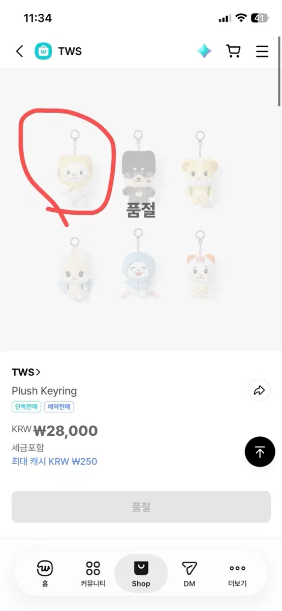 구해요) 쪽이 플러쉬 키링 구합니다!