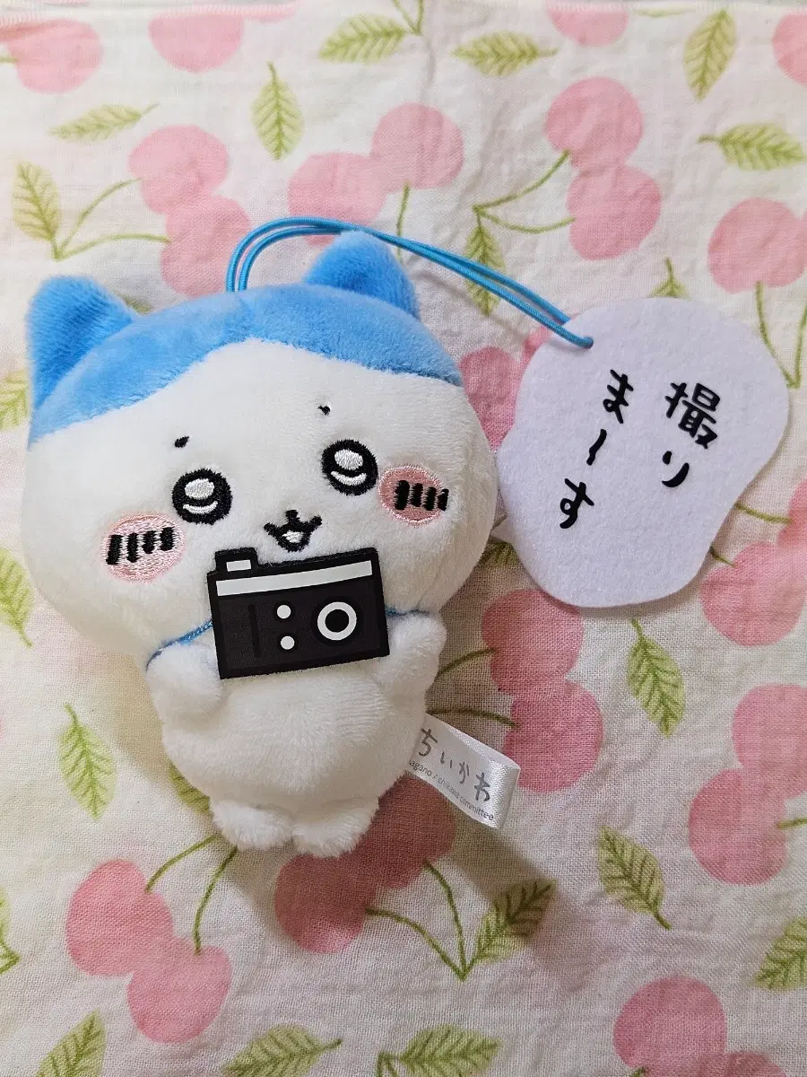 하치와레 후류 카메라 판매합니다!