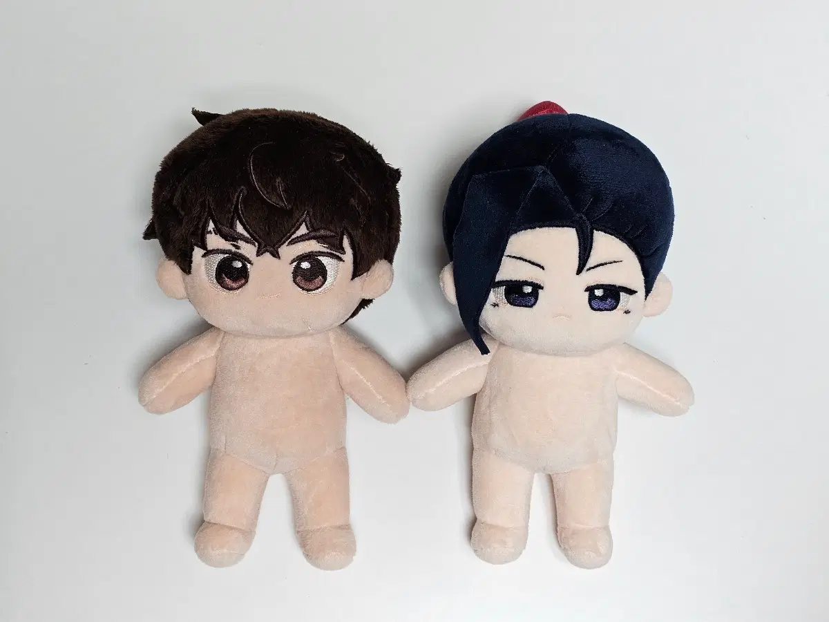 솜형솜제&호형견제