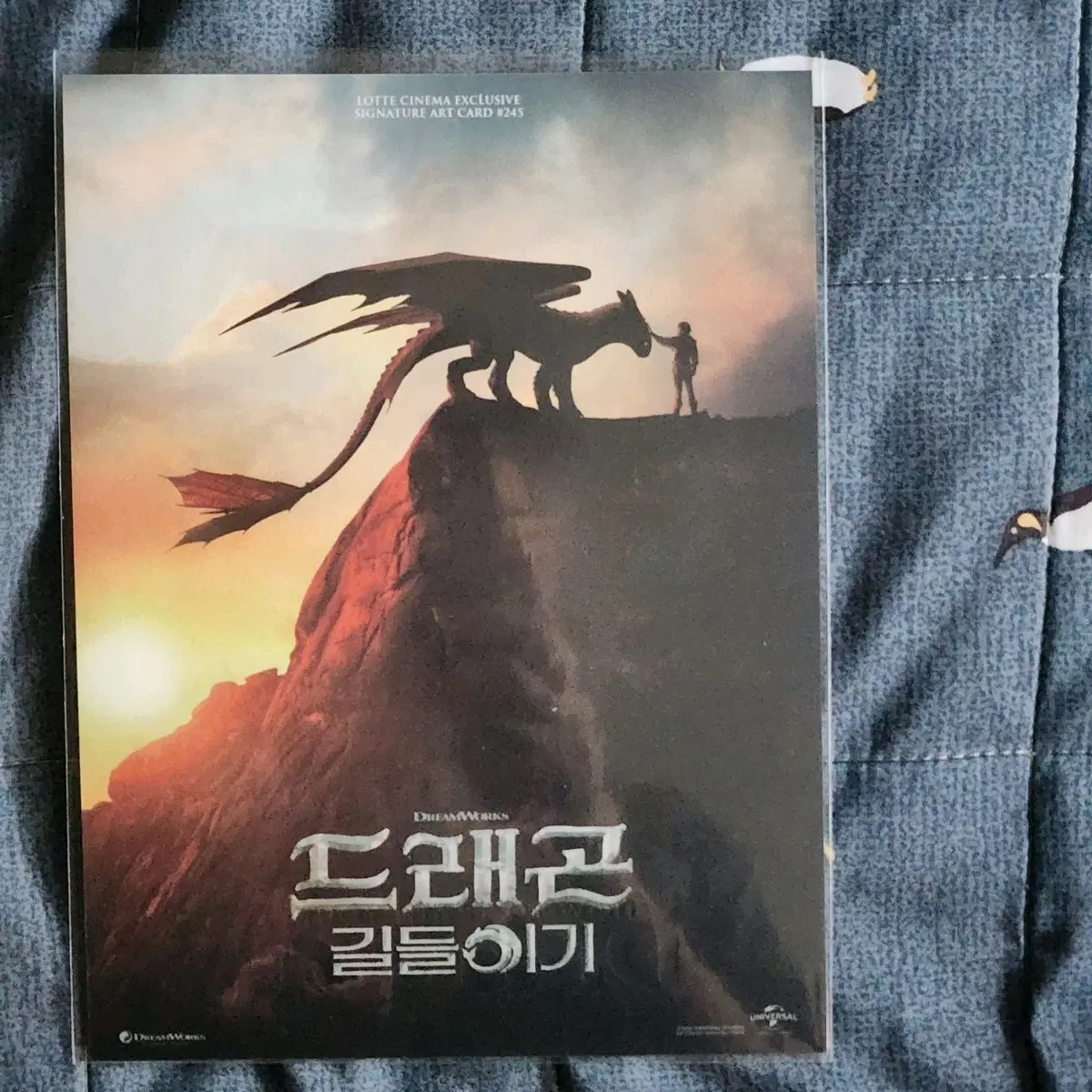드래곤 길들이기 아트카드