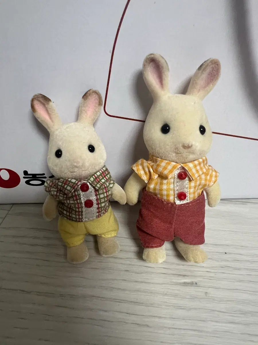 실바니안 토끼 일괄