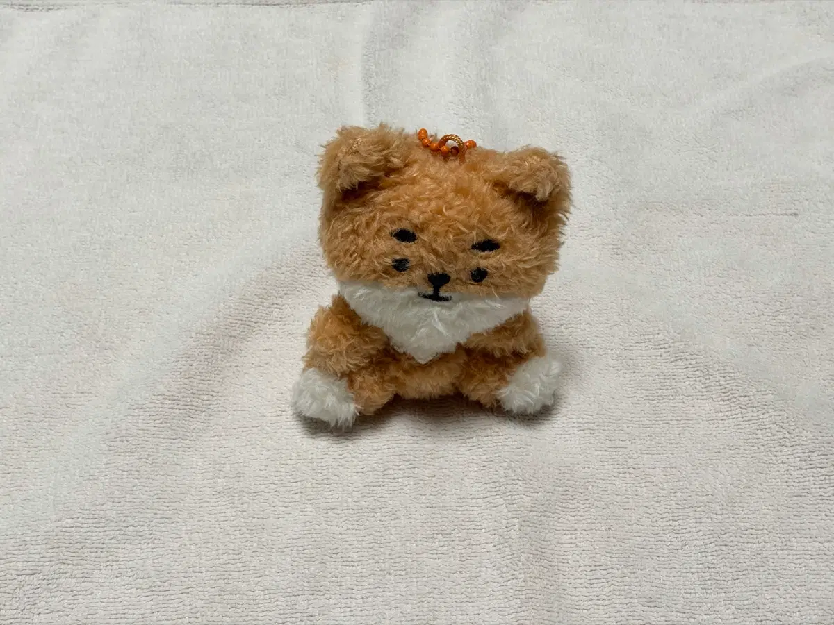 데이식스 DENIMALZ PLUSH SITTING Ver.(영케이ver)