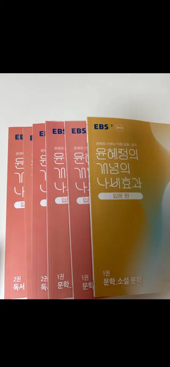EBS 윤혜정 문학 개념 나비효과 입문편