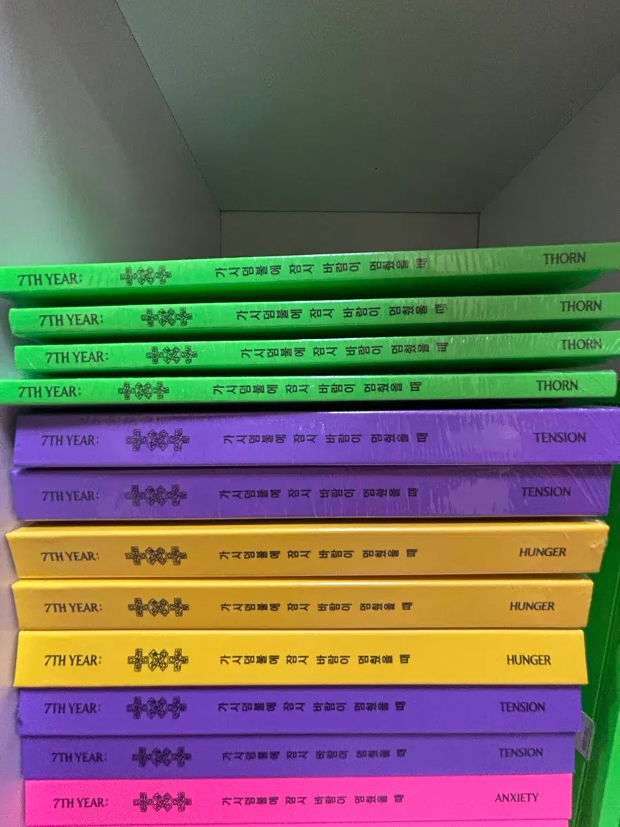 투바투 가시덤불 가덤잠바 미개봉앨범 판매