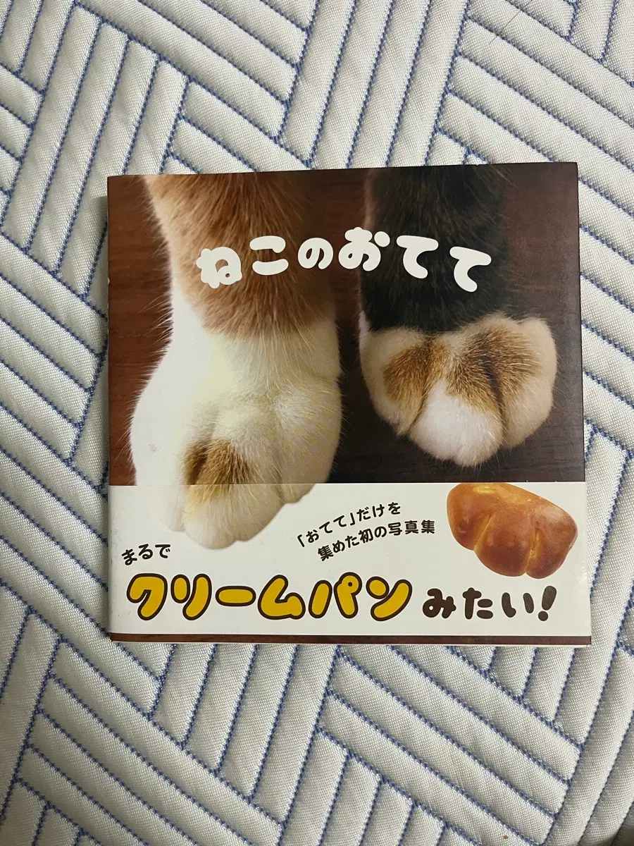 고양이 발바닥 사진집 "네코노오테테"