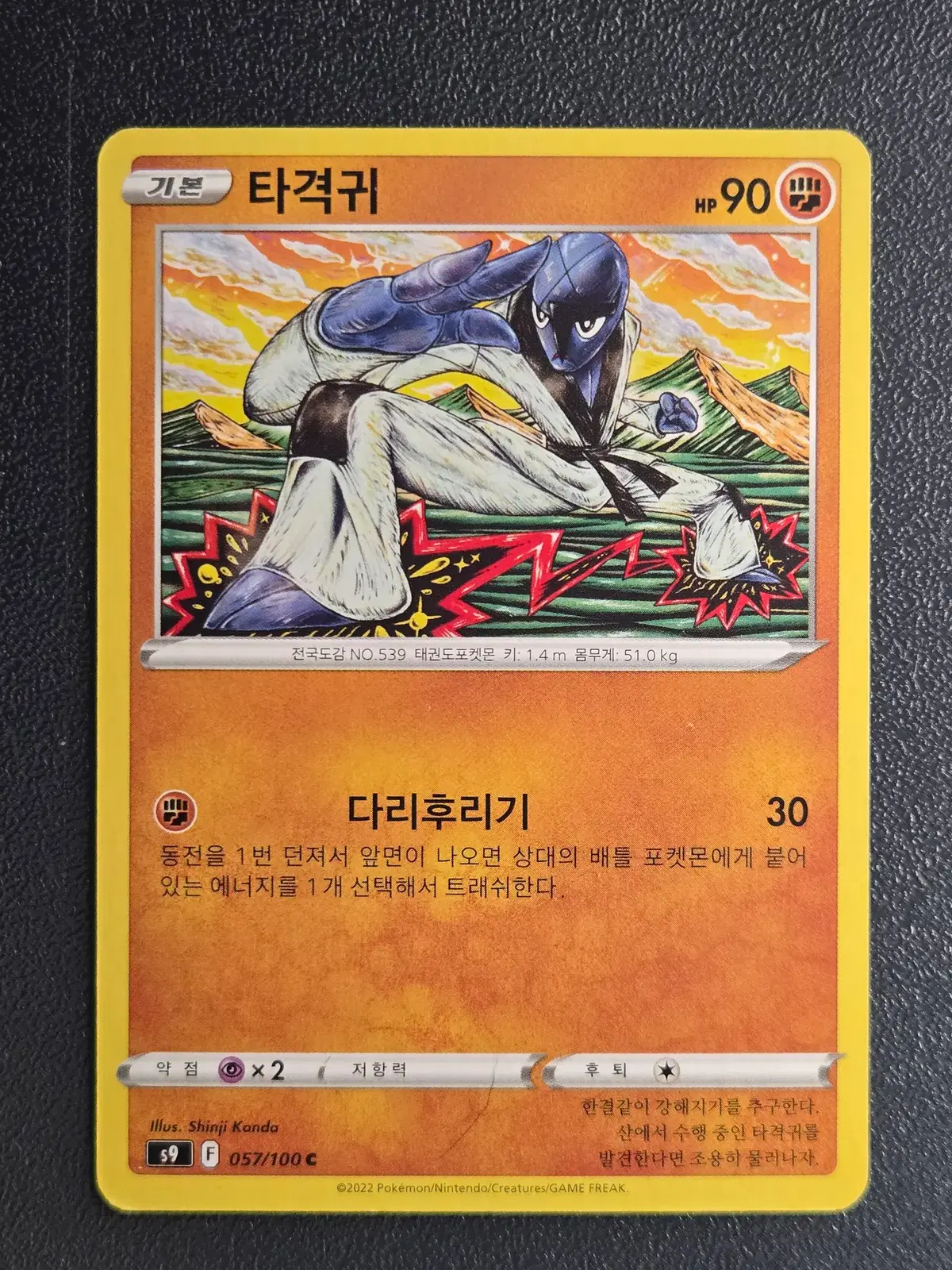 포켓몬카드 타격귀 S9 057/100 C_1