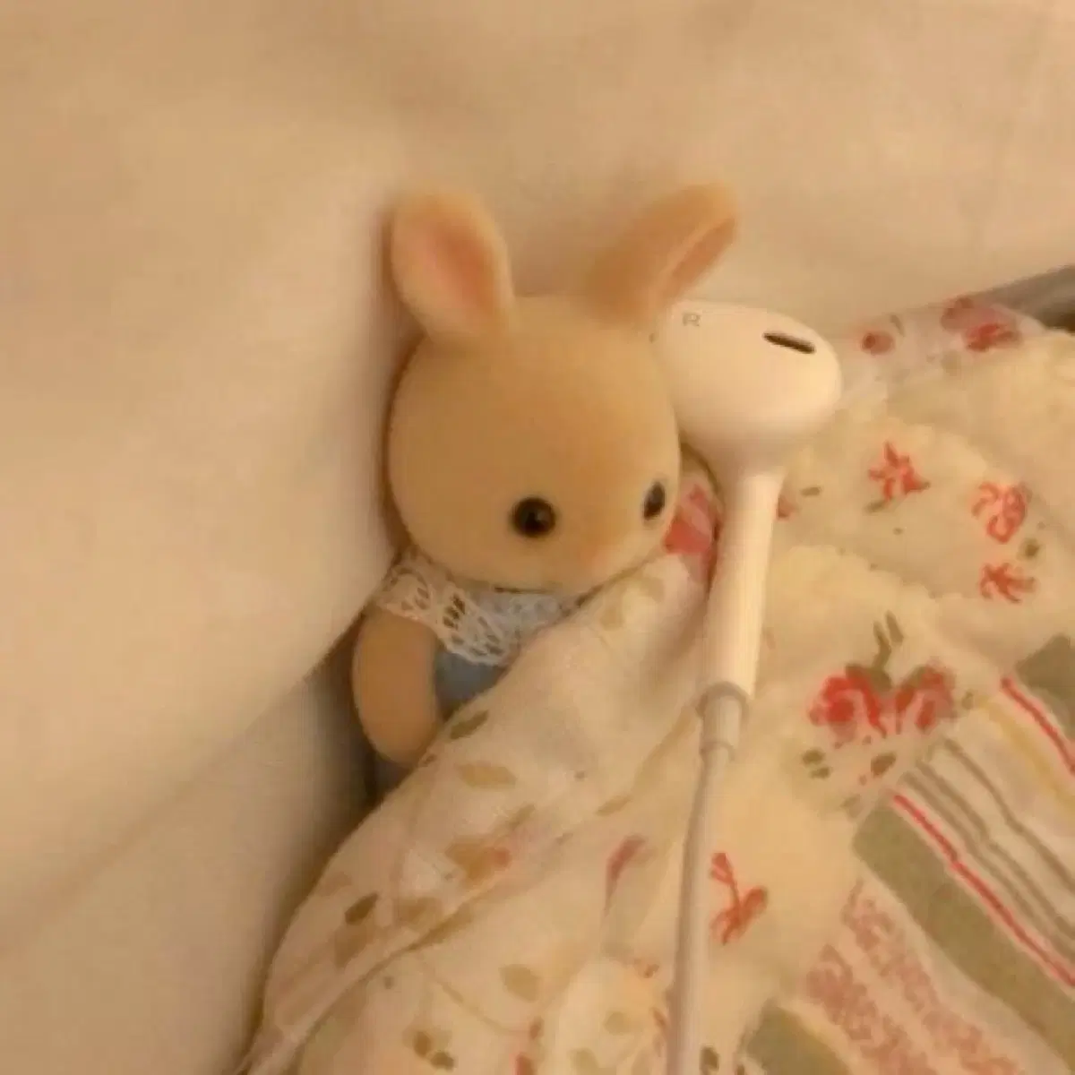 실바니안 바다 아기 블라인드백 페르시안 고양이 거북이