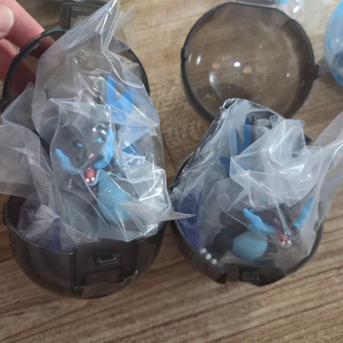 포켓몬 메가리자몽 푸른파동 가챠