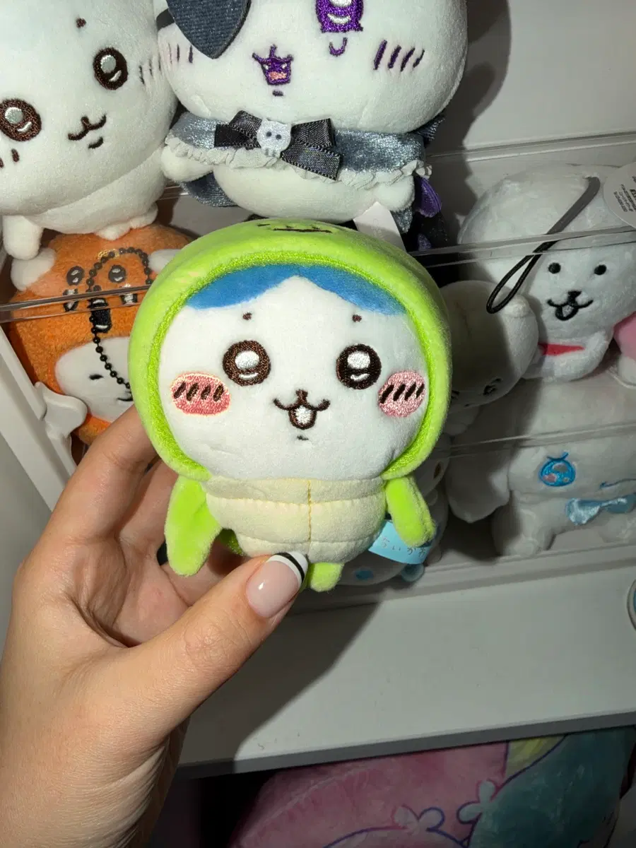 하치와레 수족관 누이