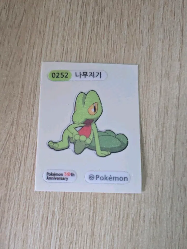 포켓몬 30주년 띠부씰 나무지기