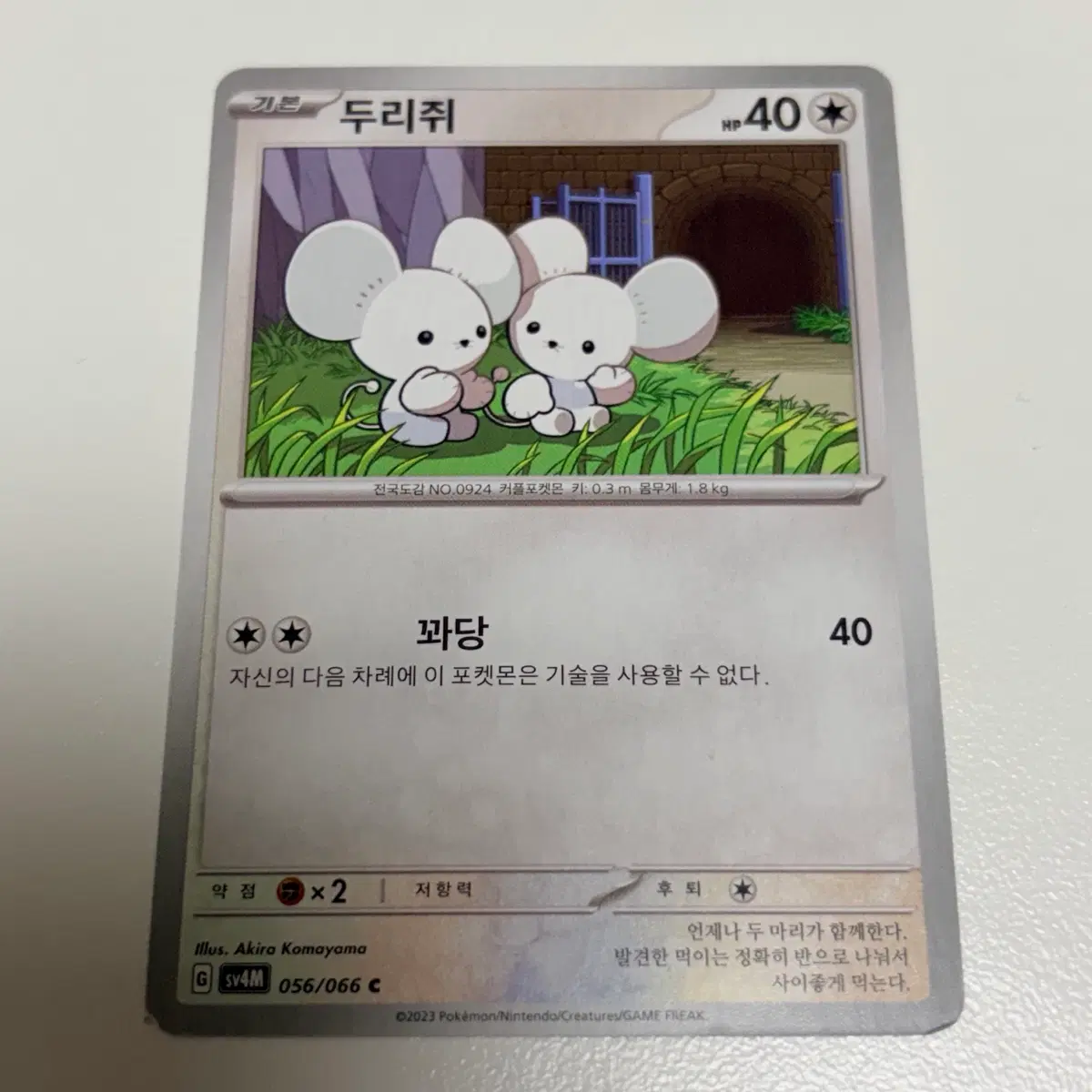 [포켓몬카드] 두리쥐 sv4M 056/066 카드 판매