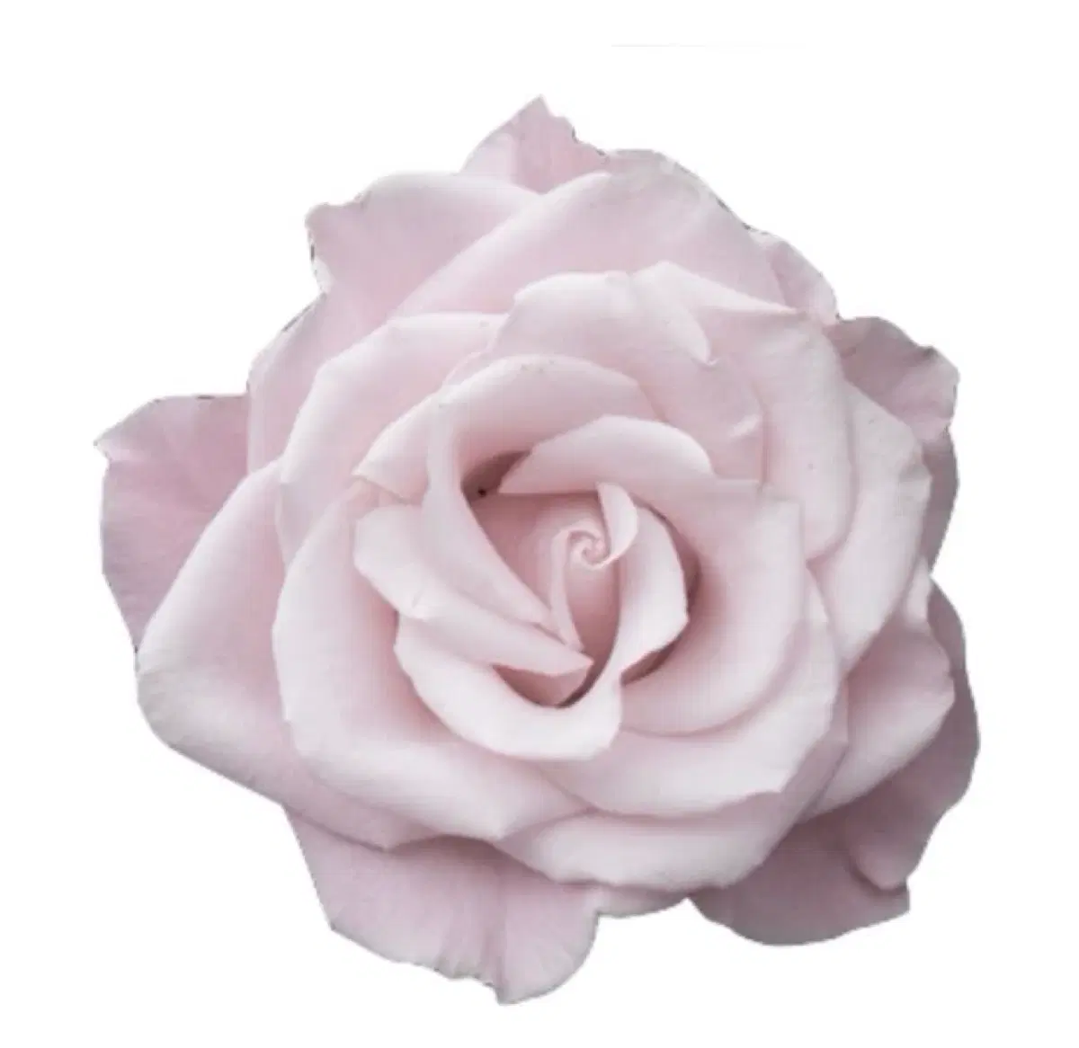 비비안웨스트우드 목걸이 orb 히메갸루 미소녀 템 쥬얼리 비비안