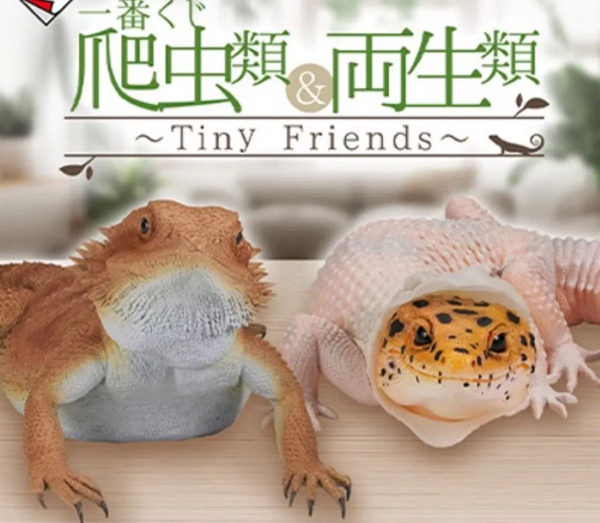 구매)파충류 & 양서류 Tiny Friends 구해합니드