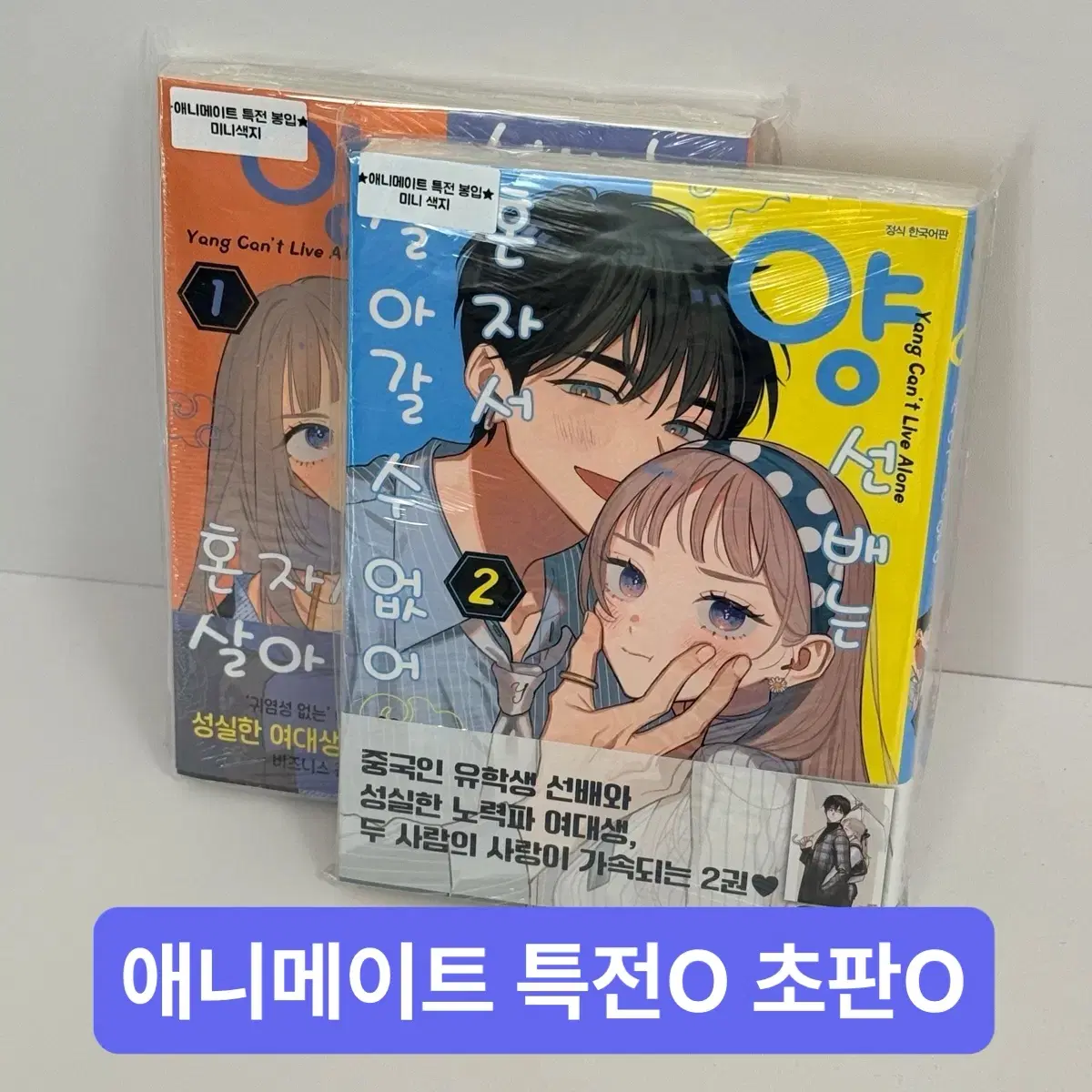 애니메이트 특전O 초판 양 선배는 혼자서 살아갈 수 없어 순정만화책