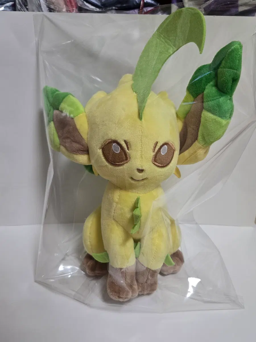 [새상품]포켓몬스터 정품 리피아 중형 인형 25cm