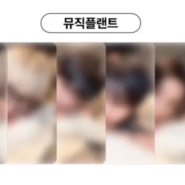 이한)보넥도 뮤직플랜트 리팩키지 분철