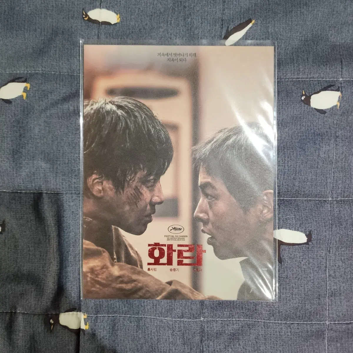 화란 아트카드