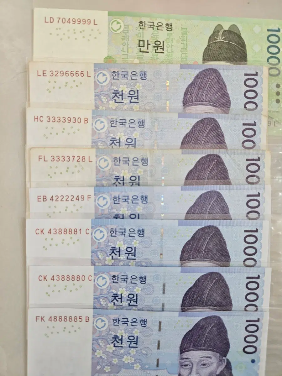 포커번호지폐