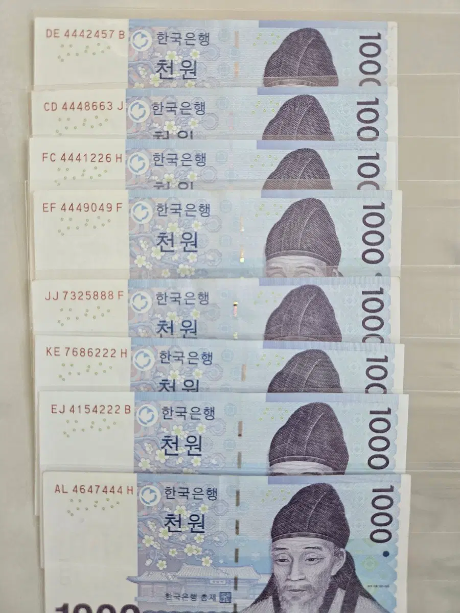 트리플지폐