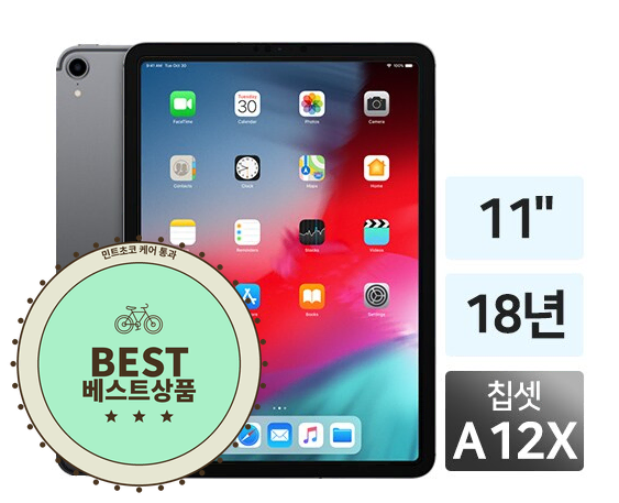 아이패드 프로 11인치 1세대 256GB Wi-Fi 애플펜슬 포함