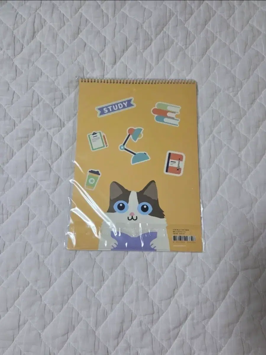 리딩펫 고양이 공부 문구 노트 옐로우 색상입니다.