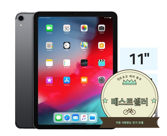 아이패드 프로 11인치 1세대 256GB Wi-Fi 애플펜슬 2세대 포함