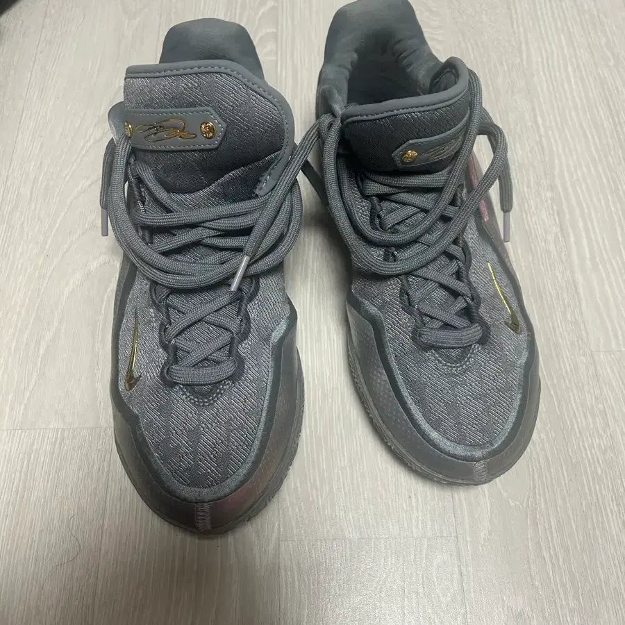 르브론 농구화 270
