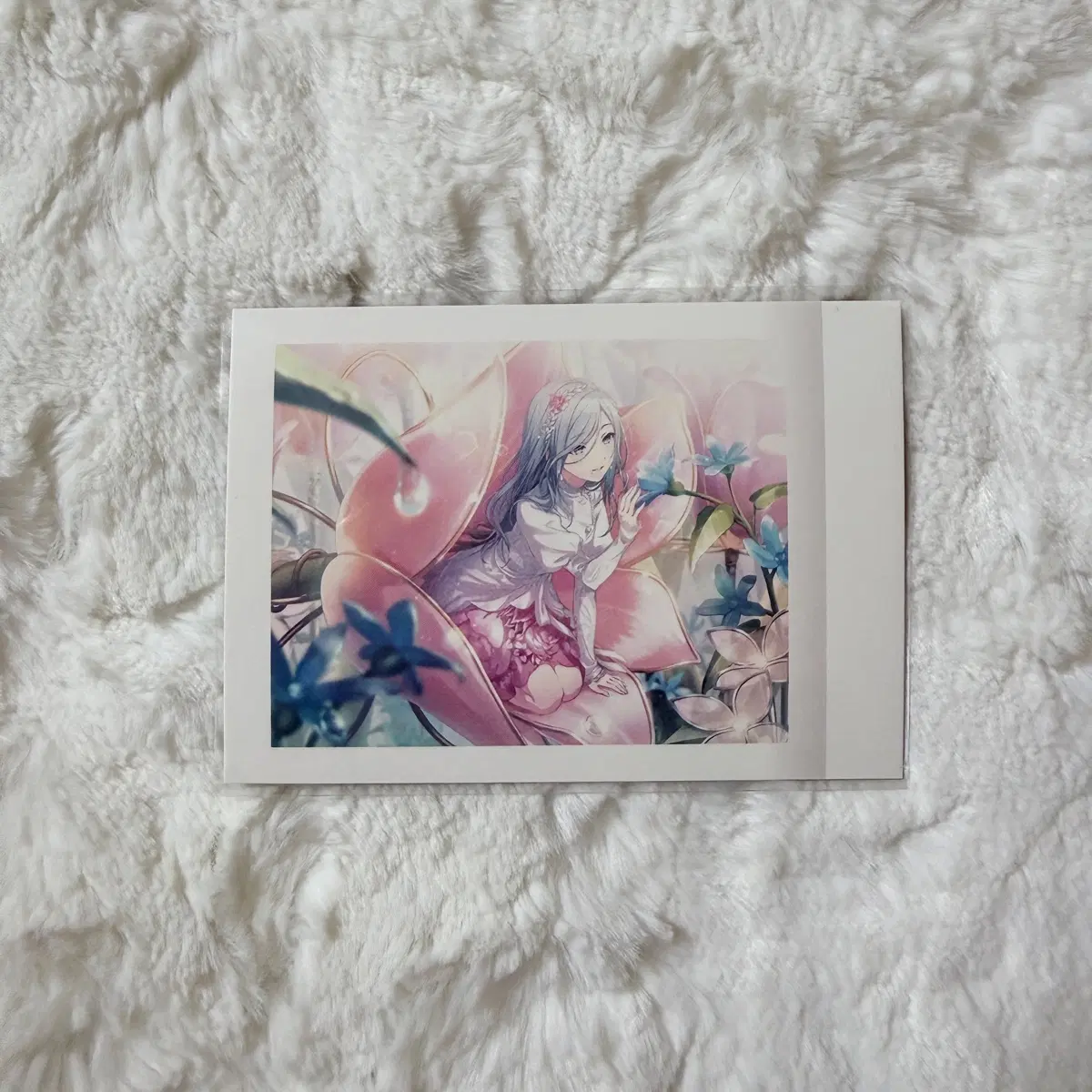 프세카 파샤코레 vol.8탄 B 히노노리 시즈쿠 모모점 프로세카 각후