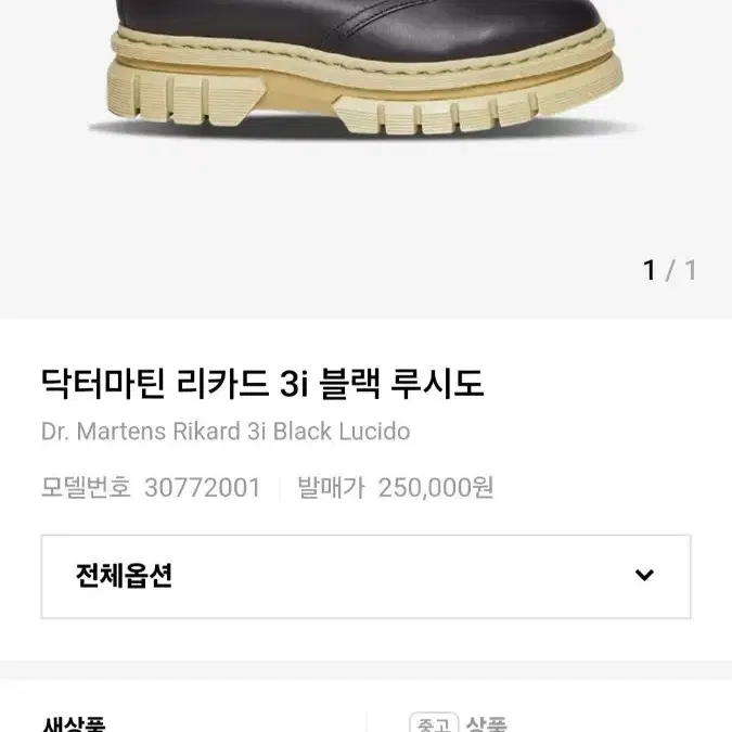 닥터마틴 리카드 270